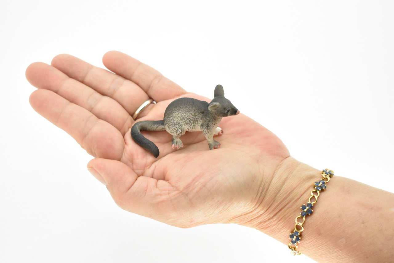 Opossum, Possum, Marsupial, Very Realistic Rubber Figure, Hand Painted, Rubber Mammal, Realistic Toy Figure, Replica, Kids, Educational, 2 1/2 Inches. 