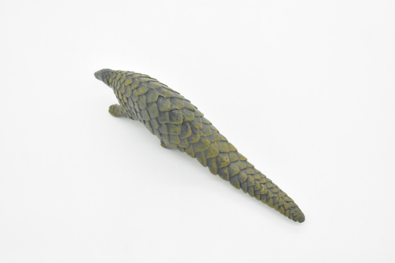 Pangolin, Scaly Anteaters, Museum Quality, Hand Painted, Educational, Rubber Animal, Realistic Toy Figure, Diorama Model, Kids,  5 Inches.