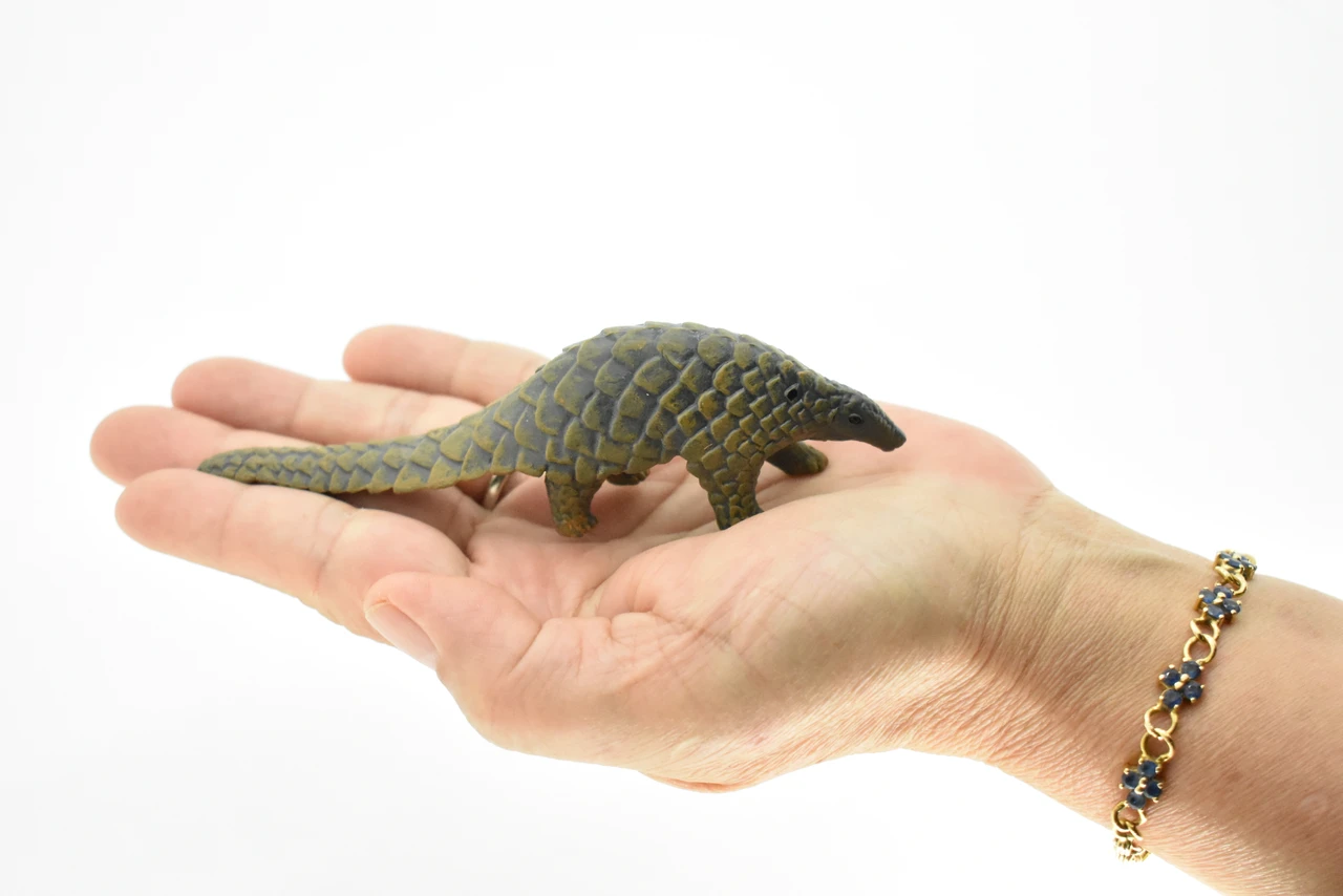 Pangolin, Scaly Anteaters, Museum Quality, Hand Painted, Educational, Rubber Animal, Realistic Toy Figure, Diorama Model, Kids,  5 Inches.