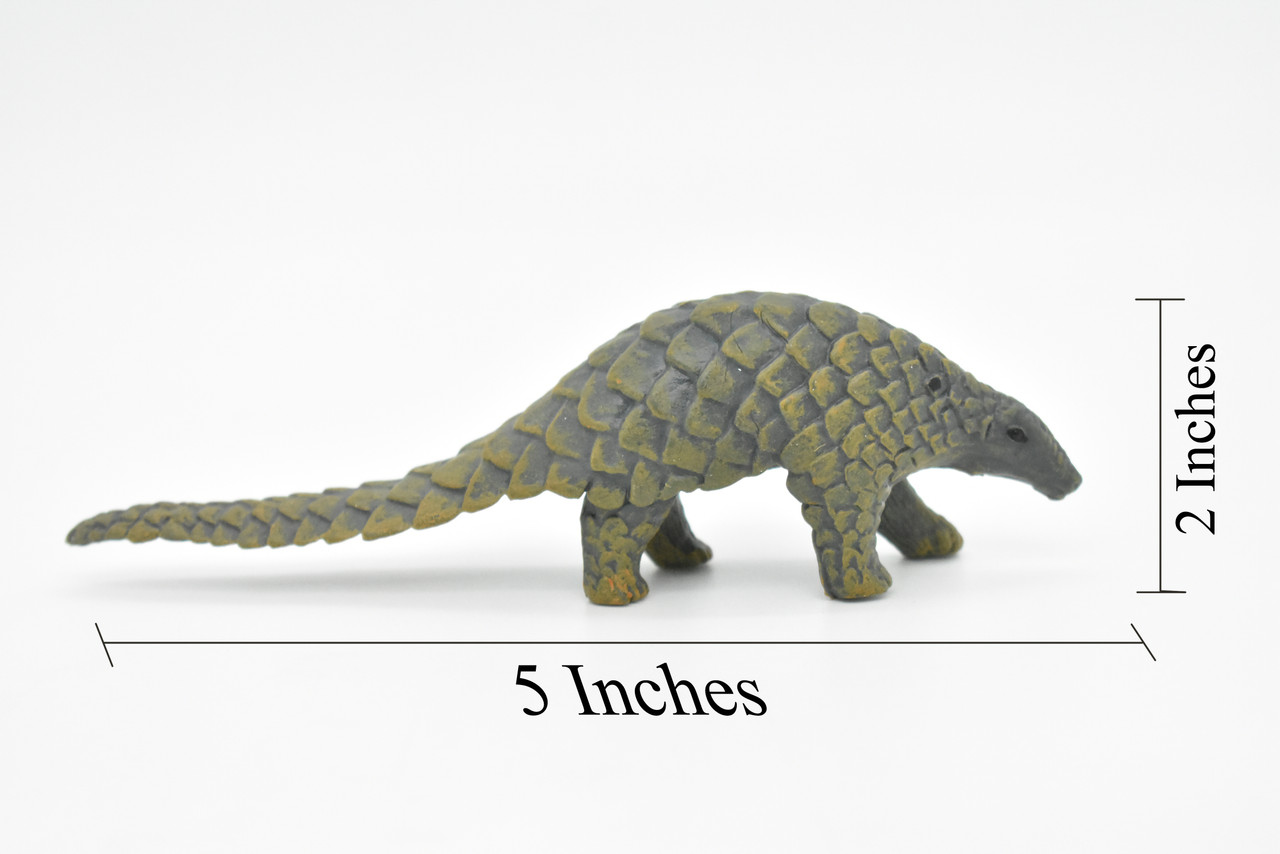 Pangolin Toy, Scaly Anteaters, Very Realistic Rubber Figure, Model, Educational, Animal, Hand Painted Figurines, 5" CH067 BB79