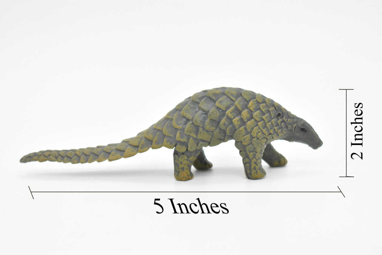 Pangolin, Scaly Anteaters, Museum Quality, Hand Painted, Educational, Rubber Animal, Realistic Toy Figure, Diorama Model, Kids,  5 Inches.