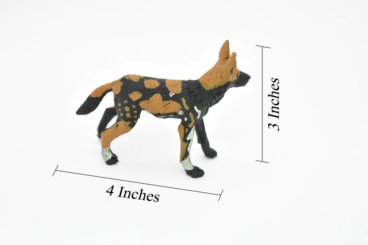 African Wild Dog, Painted Dog, Lycaon pictus, Museum Quality, Educational, Rubber Animal, Hand Painted, Realistic, Diorama Model, Toy, Kids,  4 Inches. 