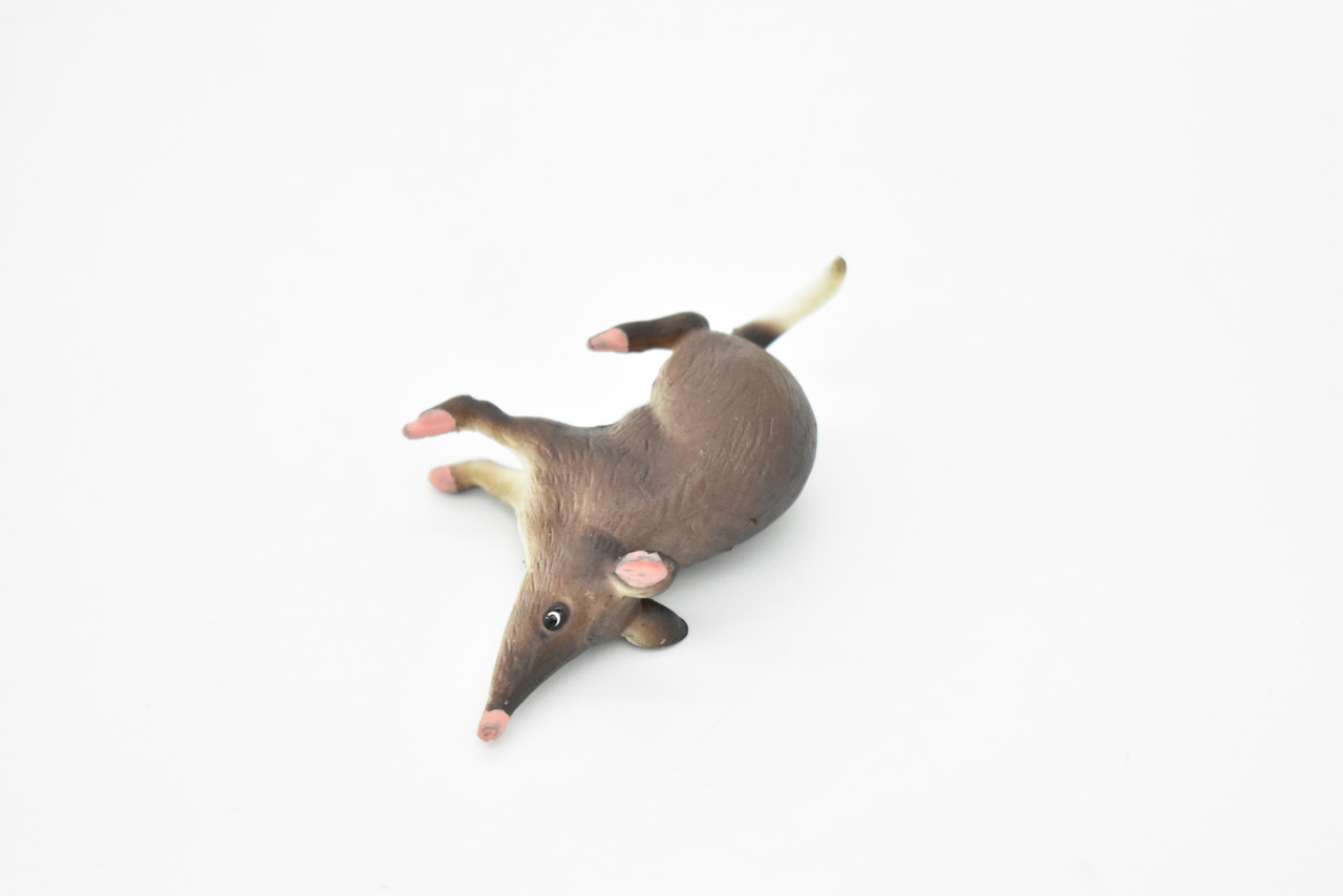 Bandicoot Toy, Mouse, Shrew, Long Nosed Mouse,  Rodent, Very Realistic Rubber Figure, Model, Educational, Animal, Hand Painted Figurines,  2.5"    CH074 BB81