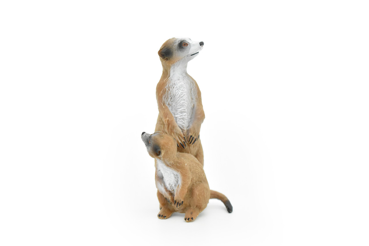 Meerkats Toy, Mongoose, Mom and Baby, Very Realistic Rubber Figure, Model, Educational, Animal, Hand Painted Figurines,       3"    CH076 BB81 