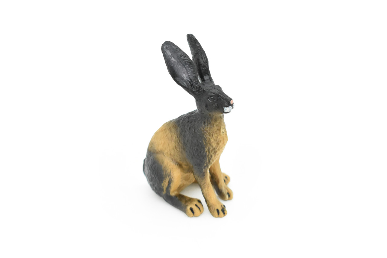 Jackrabbit, Hare, Black-tailed Rabbit, Rodent, Museum Quality, Hand Painted, Rubber Mammal, Realistic Toy Figure, Replica, Kids, Educational, 3 Inches.