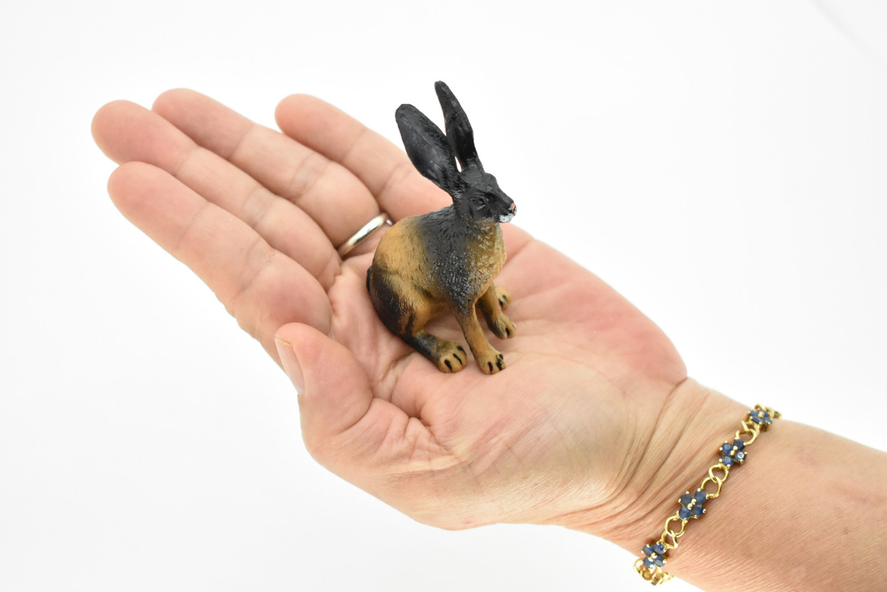 Jackrabbit, Hare, Black-tailed Rabbit, Rodent, Museum Quality, Hand Painted, Rubber Mammal, Realistic Toy Figure, Replica, Kids, Educational, 3 Inches.