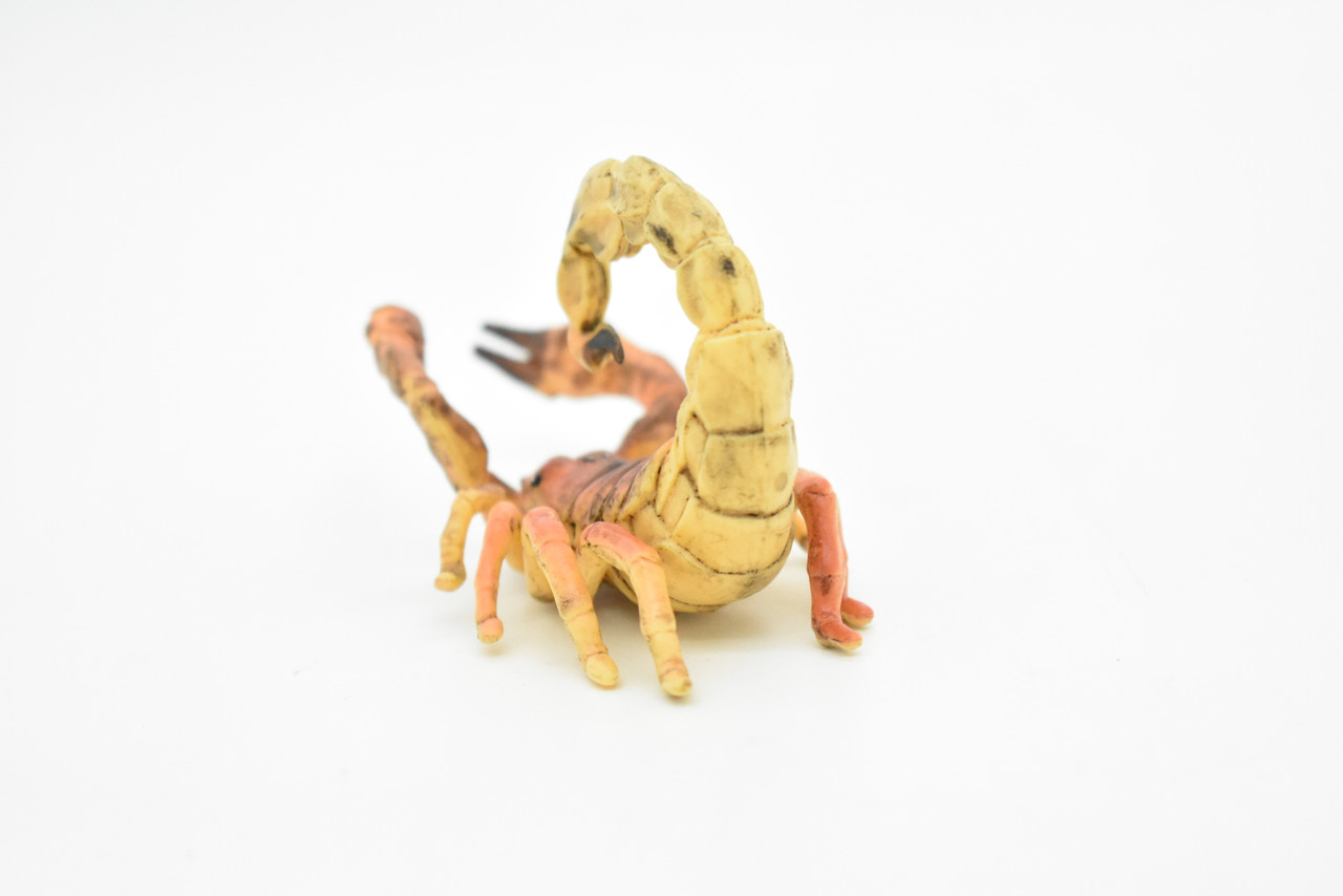 Scorpion Toy, Bug, Brown, Arachnids, Very Realistic Rubber Figure, Model, Educational, Animal, Hand Painted Figurines,     3.5"     CH078 BB81