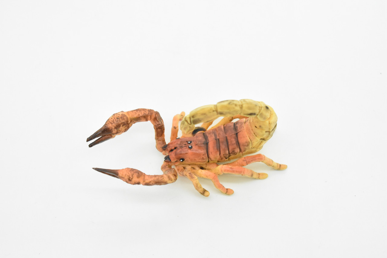 Scorpion, Brown, Arachnids, Scorpiones, Museum Quality, Educational, Hand Painted, Rubber Insect, Diorama Model, Realistic, Kids, Toys,  3 1/2 Inches.