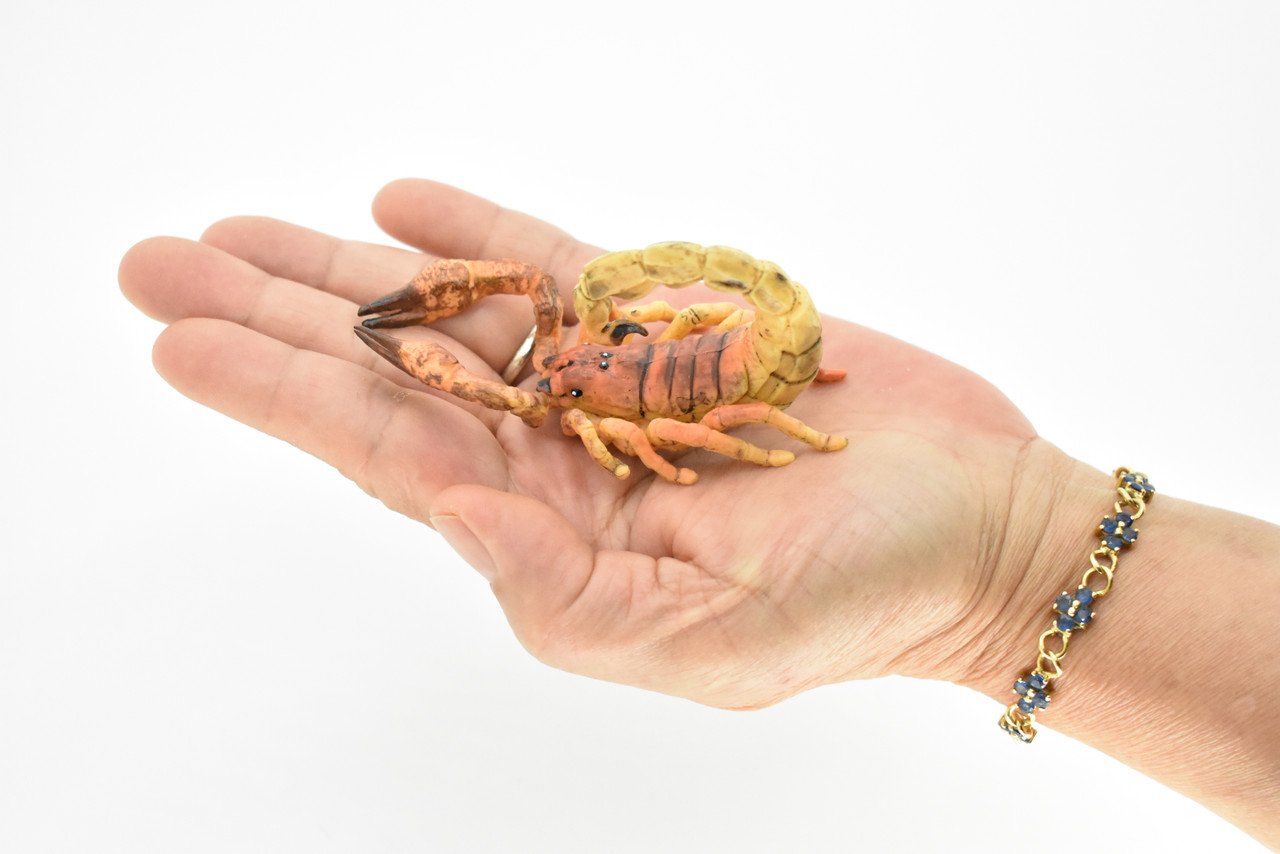 Scorpion Toy, Bug, Brown, Arachnids, Very Realistic Rubber Figure, Model, Educational, Animal, Hand Painted Figurines,     3.5"     CH078 BB81