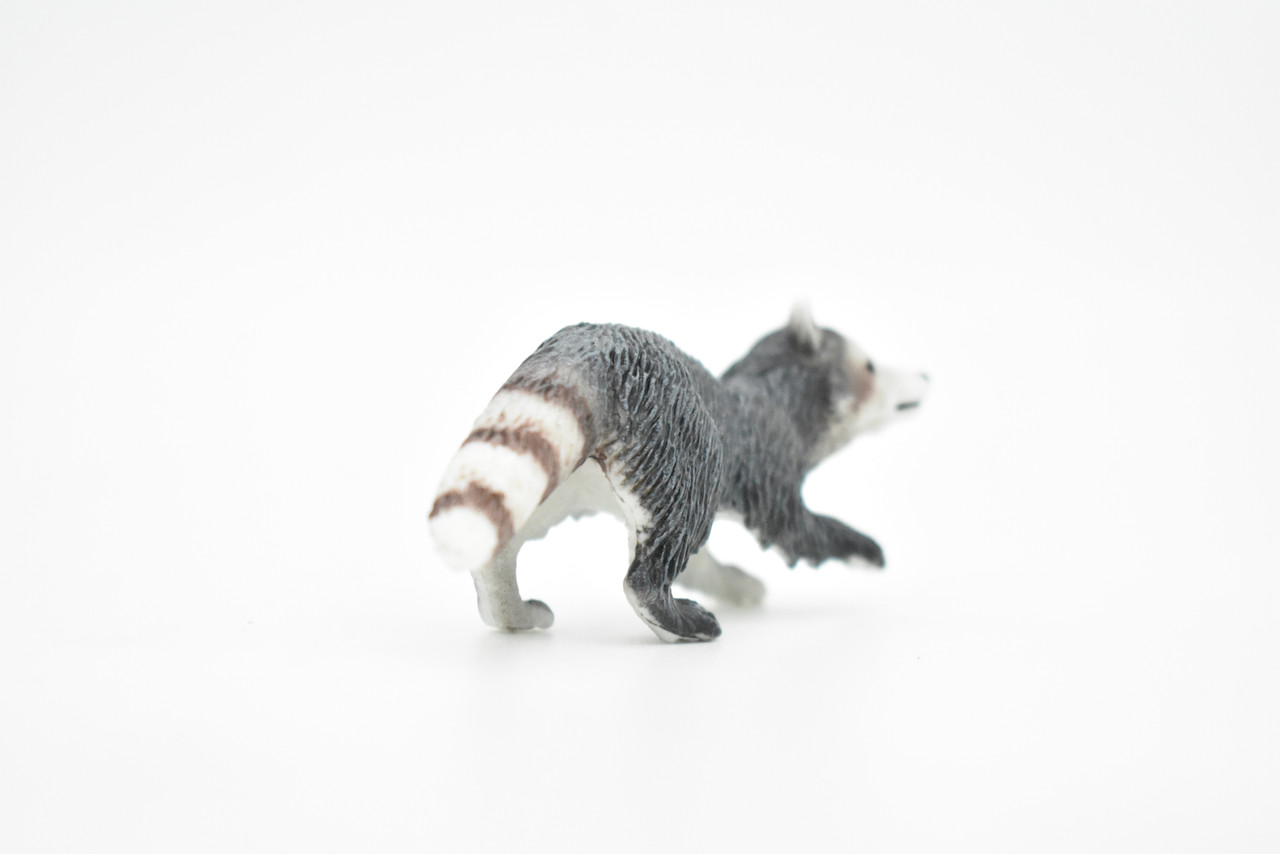 Raccoon, Racoon, Trash panda, Very Realistic Rubber Figure, Hand Painted, Rubber Mammal, Realistic Toy Figure, Replica, Kids, Educational, 3 Inches.  