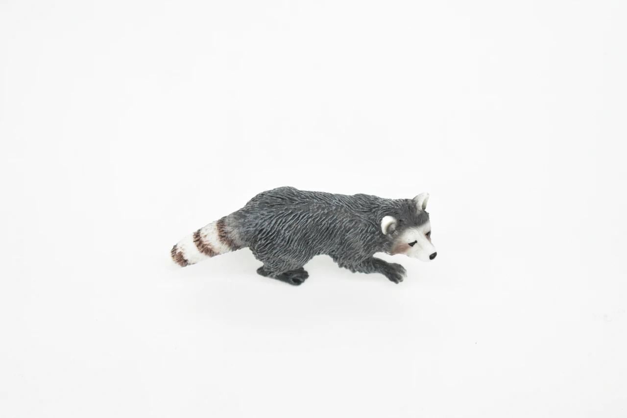 Raccoon, Racoon, Trash panda, Very Realistic Rubber Figure, Hand Painted, Rubber Mammal, Realistic Toy Figure, Replica, Kids, Educational, 3 Inches.  