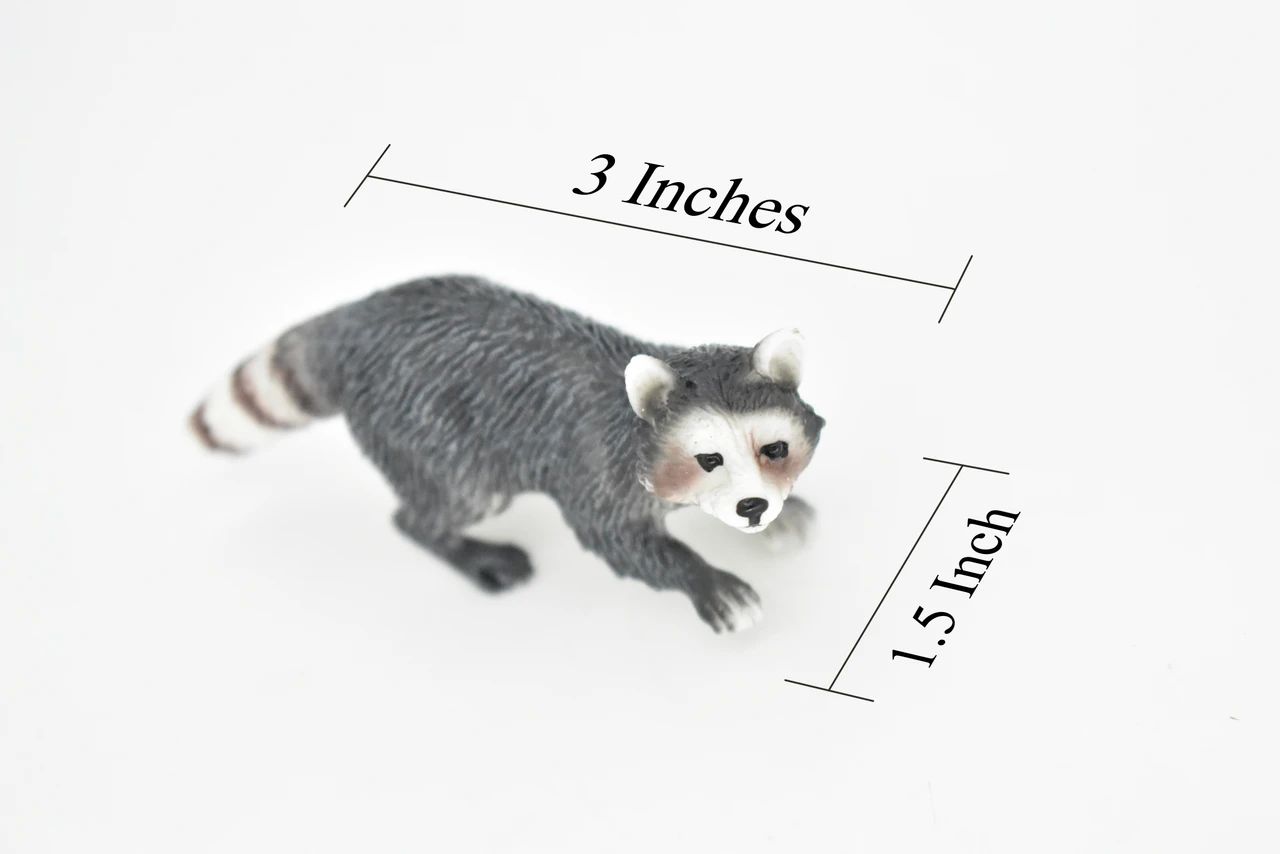 Raccoon, Racoon, Trash panda, Very Realistic Rubber Figure, Hand Painted, Rubber Mammal, Realistic Toy Figure, Replica, Kids, Educational, 3 Inches.  