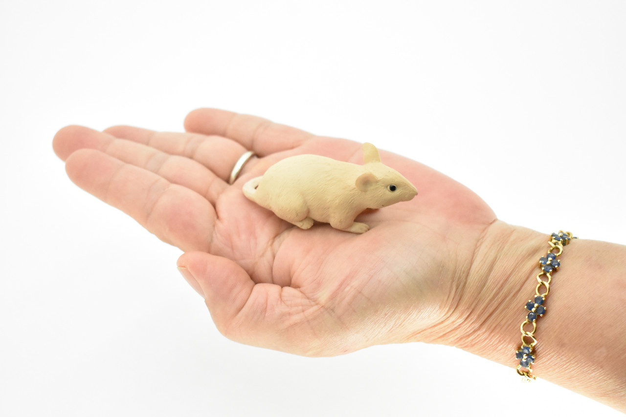 Mouse Toy, Shrew,  Rodent, White, Very Realistic Rubber Figure, Model, Educational, Animal, Hand Painted Figurines,  2.5"    CH084 BB83