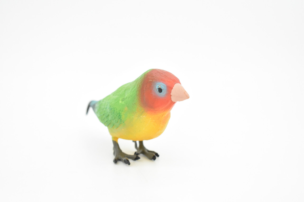 Lovebird Toy, Parrot, Bird, Very Realistic Rubber Figure, Model, Educational, Animal, Hand Painted Figurines,      5"    CH086 BB83