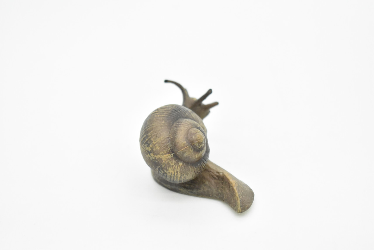 Snail Toy, Shelled Gastropod, Very Realistic Rubber Figure, Model, Educational, Animal, Hand Painted Figurines, 3.5" CH088 BB83