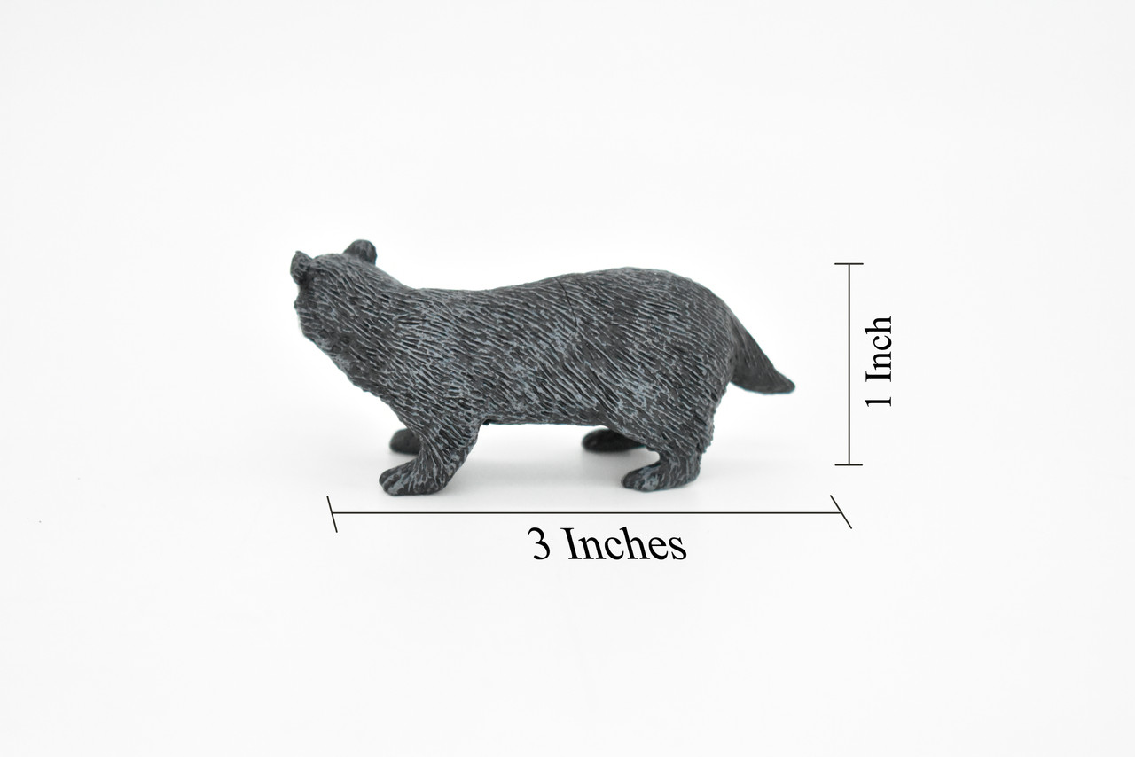 Badger, Mustelidae, Museum Quality, Hand Painted, Rubber Animal, Realistic Toy Figure, Diorama Model, Kids, Educational, 3 Inches. 