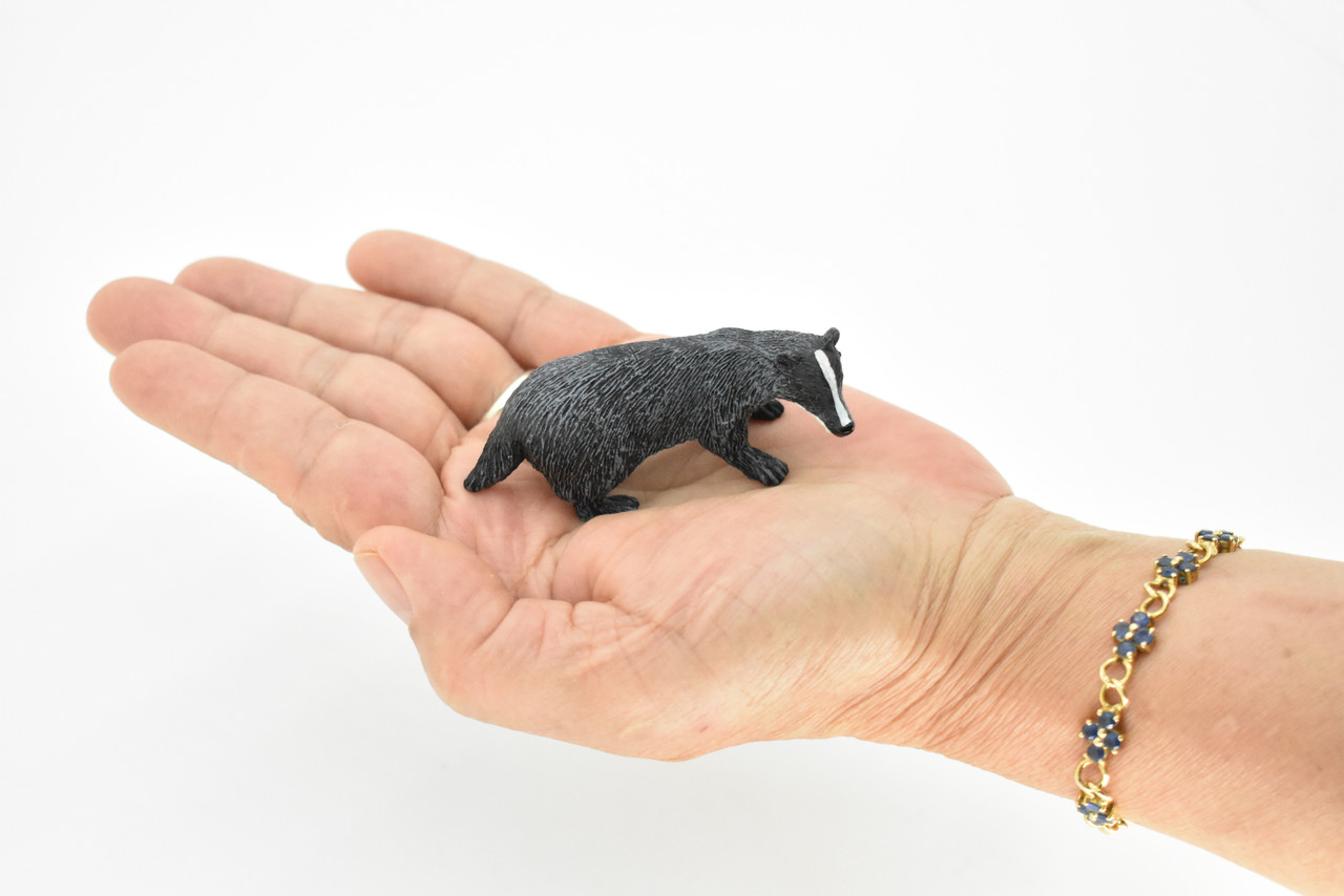 Badger, Mustelidae, Museum Quality, Hand Painted, Rubber Animal, Realistic Toy Figure, Diorama Model, Kids, Educational, 3 Inches. 