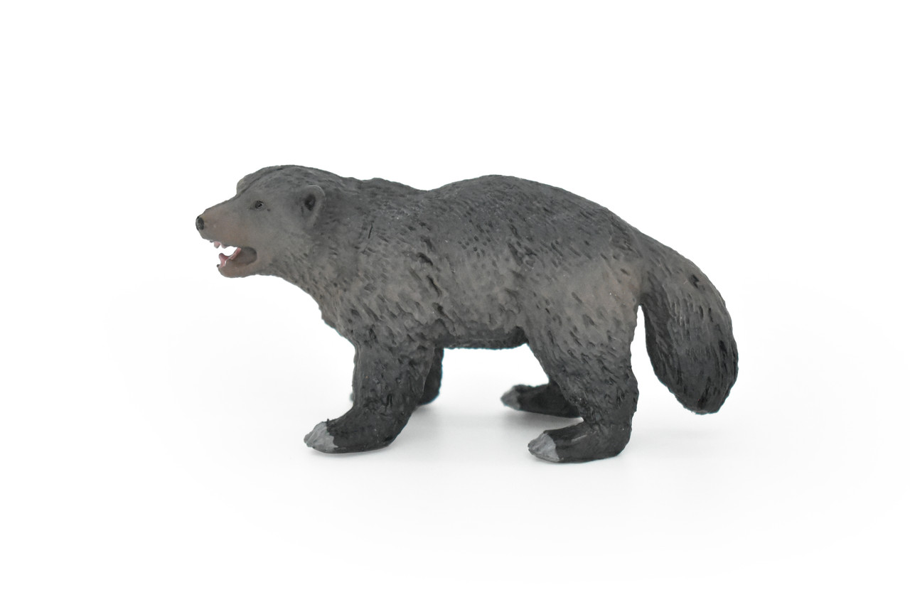 Wolverine, Gulo gulo, Museum Quality, Educational, Rubber Animal, Hand Painted, Realistic, Diorama Model, Toy, Kids, 3 Inches.