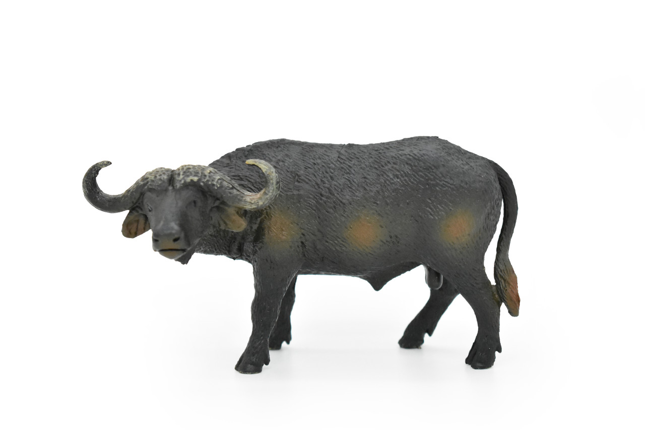 Cape Buffalo, African Bovine, Syncerus caffer, Museum Quality, Hand Painted, Rubber Animal, Realistic Toy Figure, Model, Kids, Educational,  5 Inches.