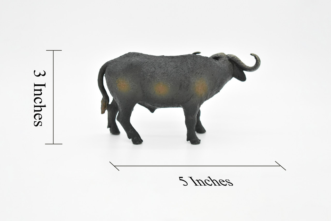 Cape Buffalo, African Bovine, Syncerus caffer, Museum Quality, Hand Painted, Rubber Animal, Realistic Toy Figure, Model, Kids, Educational,  5 Inches.