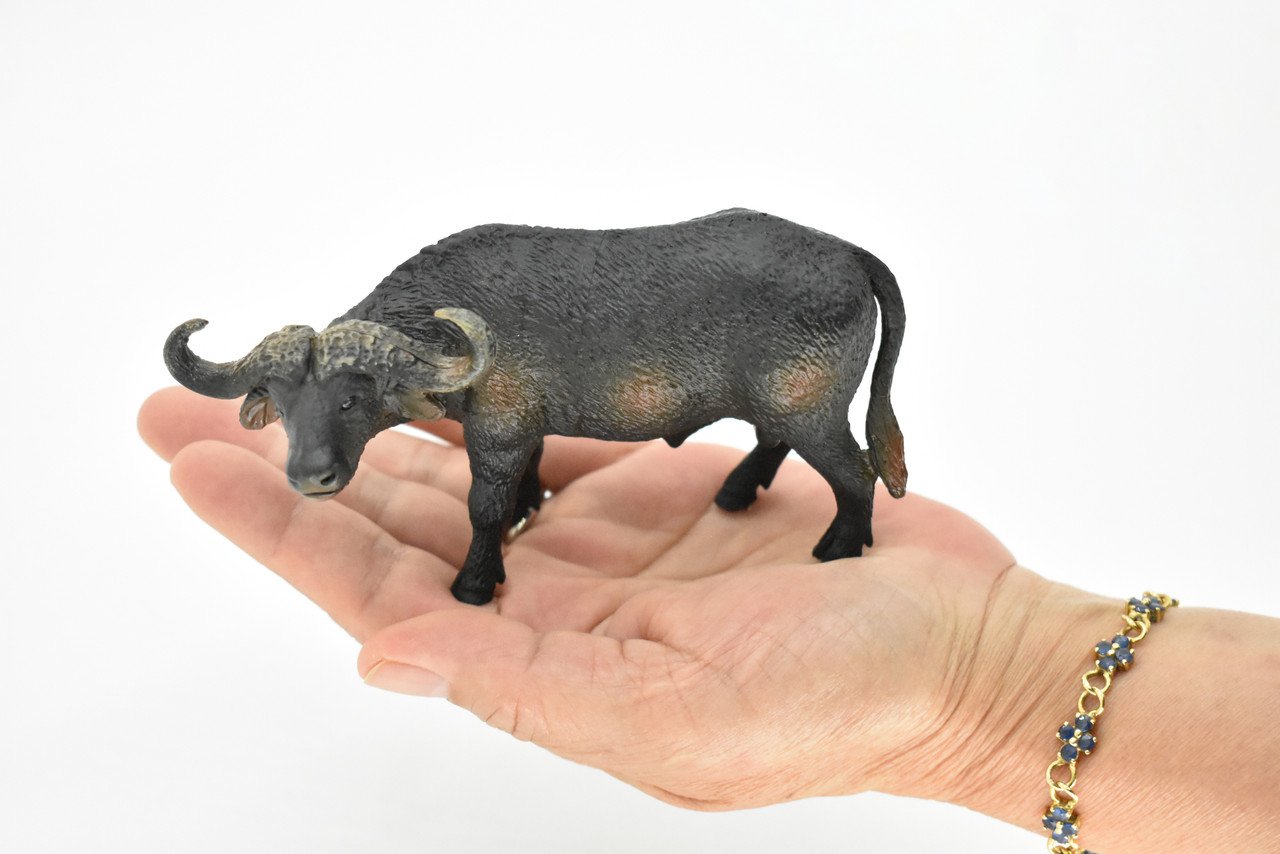 Cape Buffalo, African Bovine, Syncerus caffer, Museum Quality, Hand Painted, Rubber Animal, Realistic Toy Figure, Model, Kids, Educational,  5 Inches.