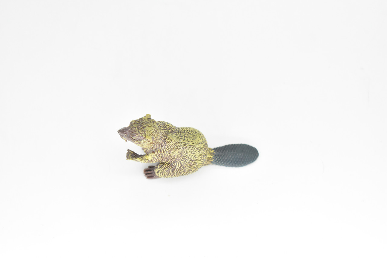 Beaver, Semiaquatic Rodents, Castor, Museum Quality, Hand Painted, Rubber Animal, Realistic Toy Figure, Diorama Model, Kids, Educational, Gift,    3 Inches.  