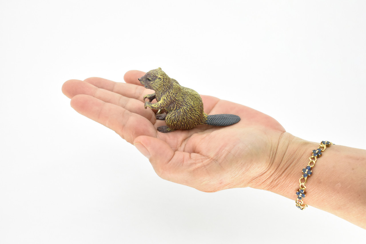 Beaver, Semiaquatic Rodents, Castor, Museum Quality, Hand Painted, Rubber Animal, Realistic Toy Figure, Diorama Model, Kids, Educational, Gift,    3 Inches.  