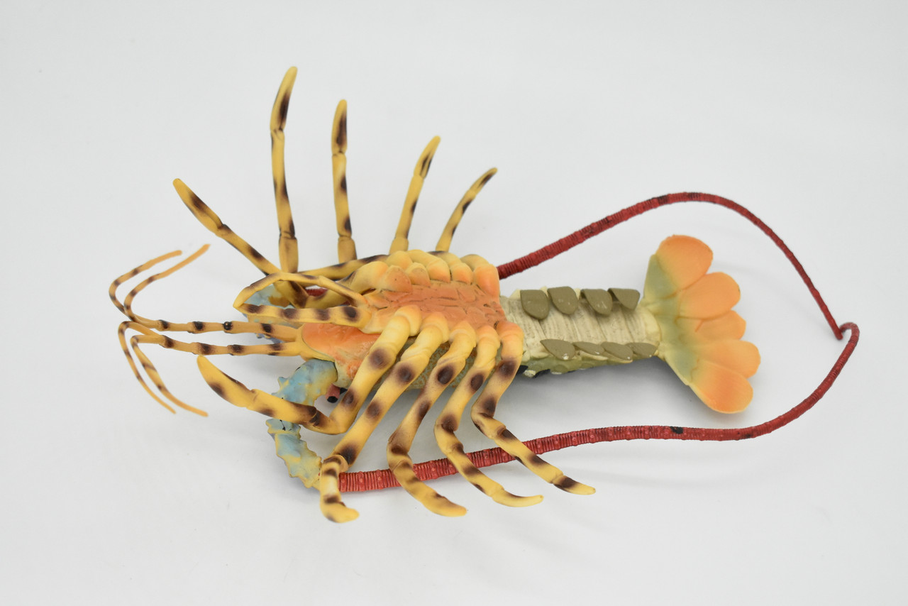 Lobster Toy, Pacific, Australian, Ocean , Beach, Museum Quality Rubber Figure, Model, Educational, Animal, Hand Painted, Figurines 12" CH105 BB89