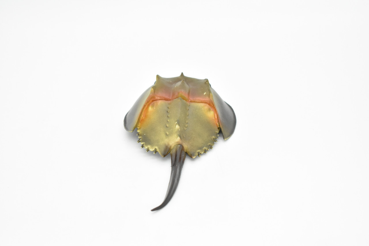 Horseshoe Crab Toy, Arthropods, Ocean, Museum Quality Rubber Figure, Model, Educational, Animal, Hand Painted, Figurines      6. 5"     CH102 BB88