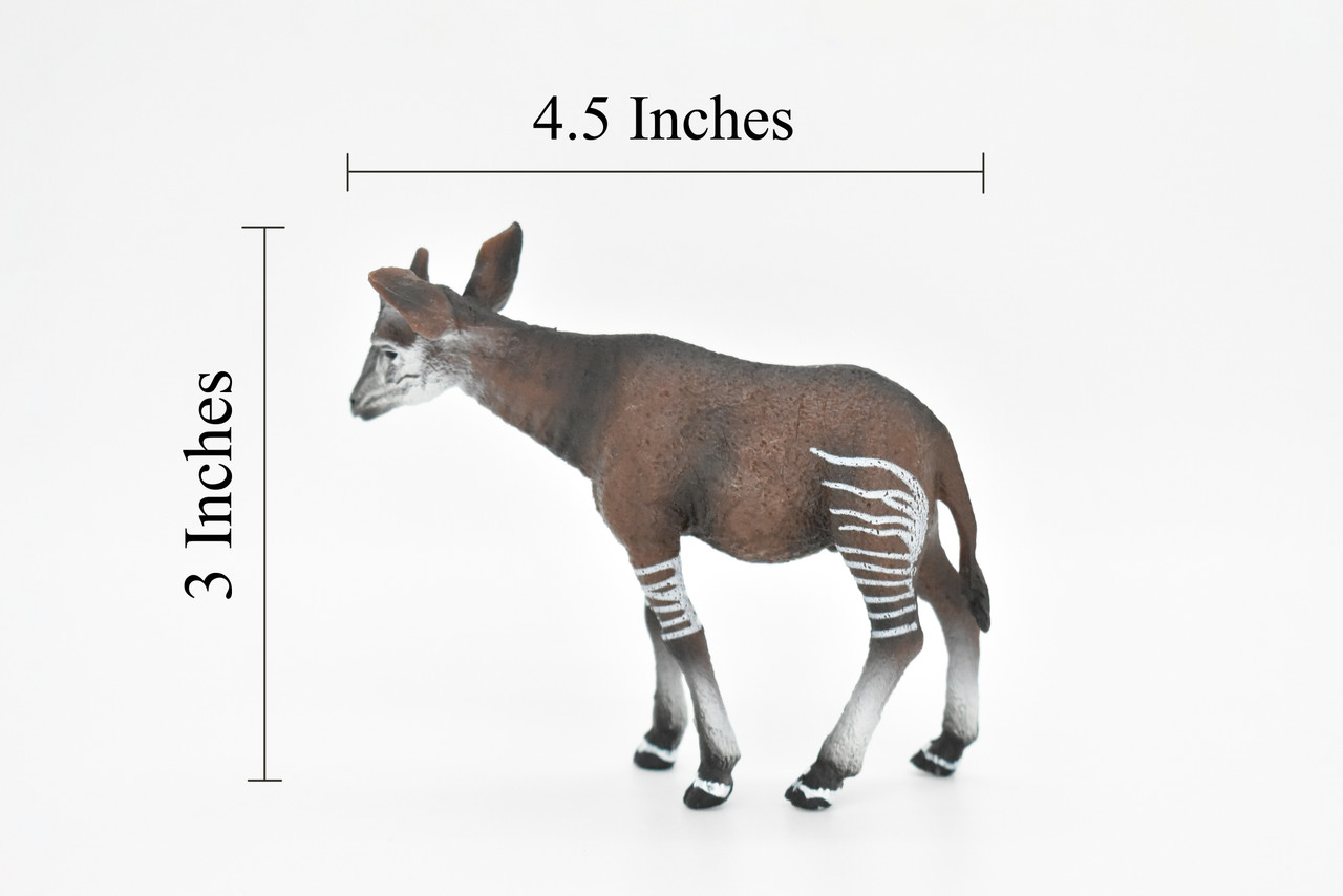 Okapi, Forest Giraffe, Museum Quality, Hand Painted, Educational, Rubber Animal, Realistic Toy Figure, Diorama Model, Kids,  4 1/2 Inches. 