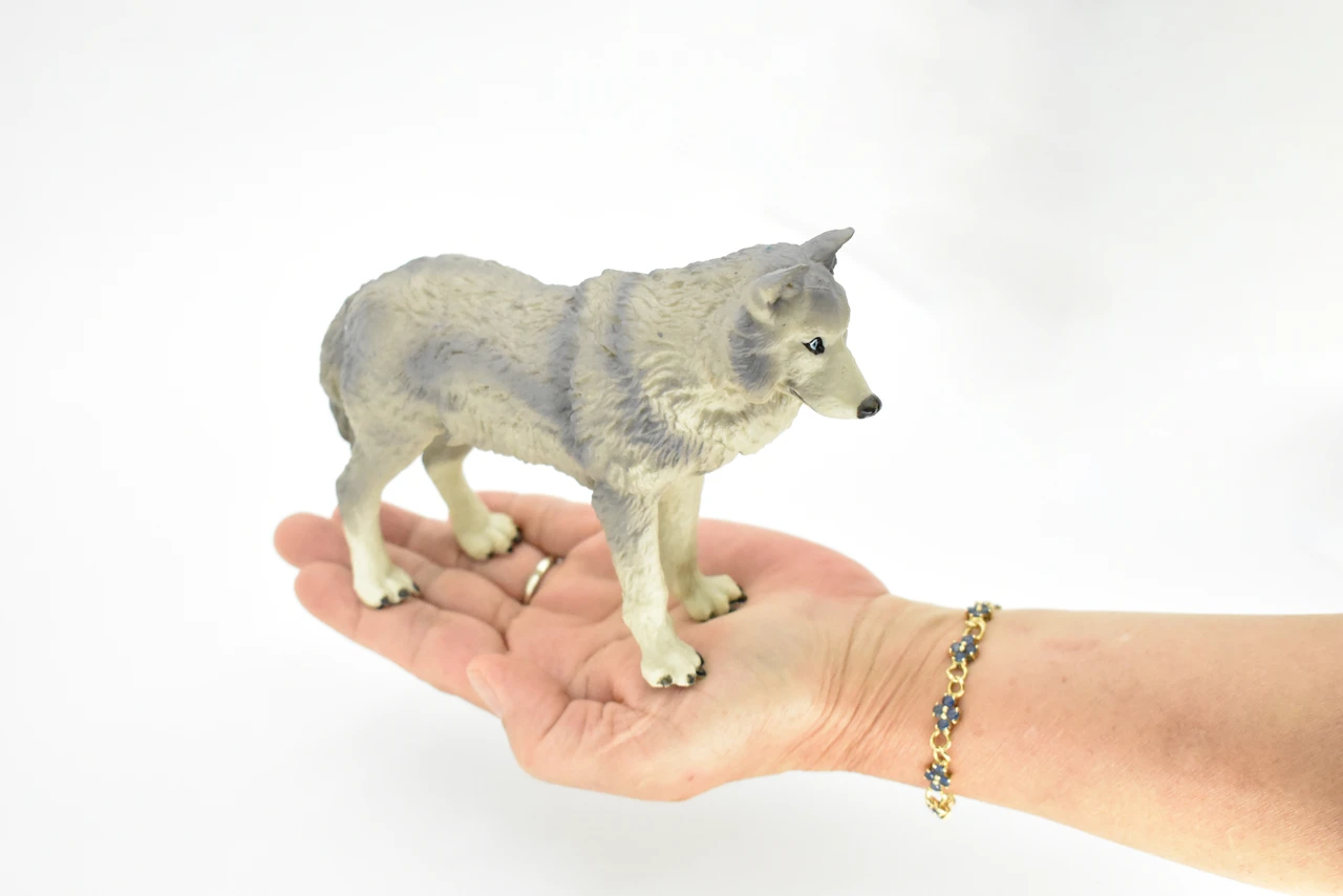 Wolf, Grey, Timber Wolf, Museum Quality, Educational, Rubber Animal, Hand Painted, Realistic, Diorama Model, Toy, Kids,  7 Inches. 
