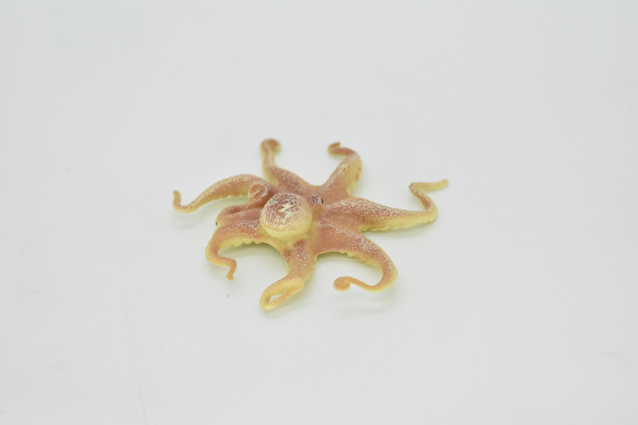 Octopus Toy, Octopodes, Octopoda, Ocean, Deep Sea, Very Realistic Rubber Figure, Model, Educational, Animal, Hand Painted Figurines,     3"     CH110 BB92