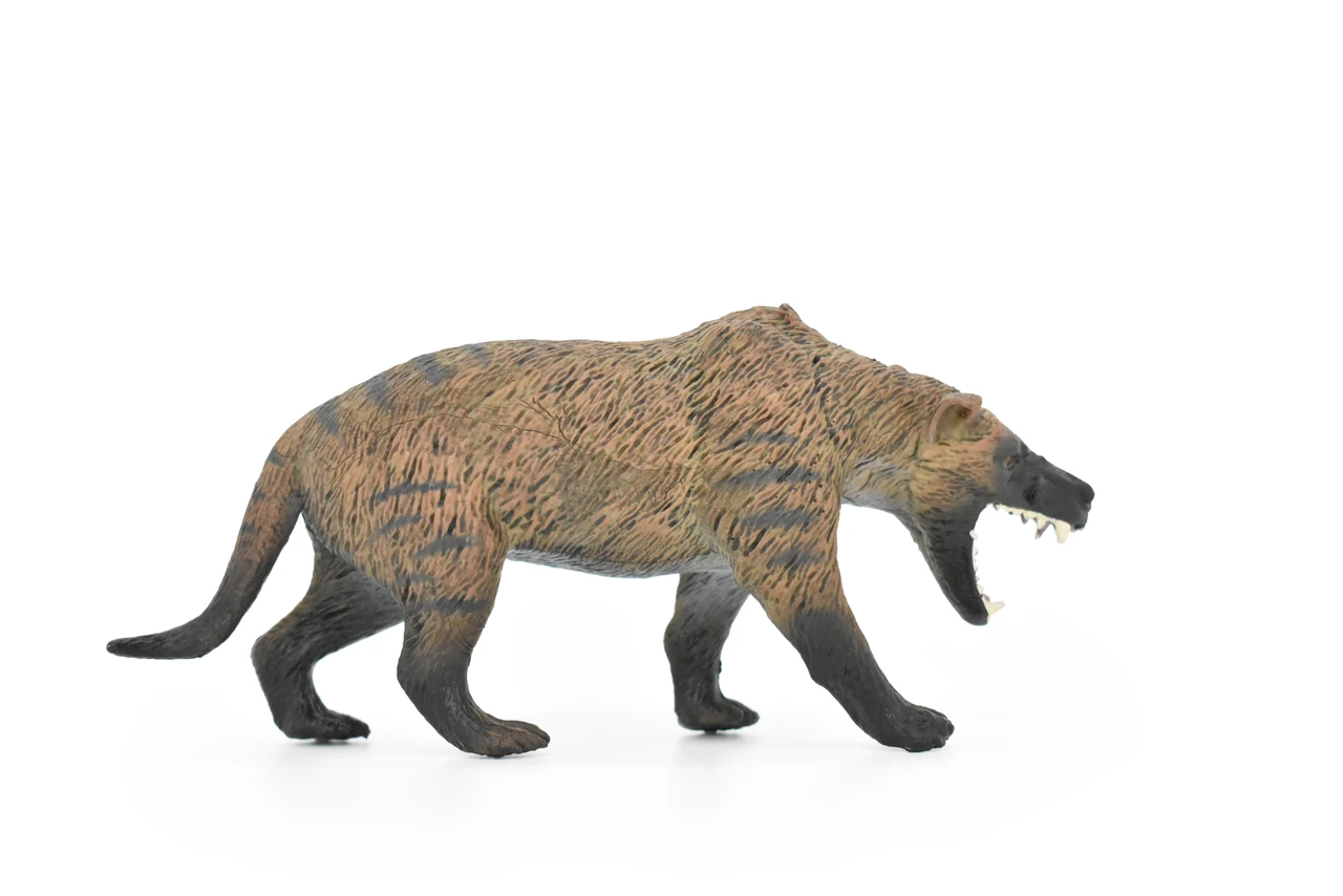 Tasmanian Tiger, Thylacine, Tasmanian wolf, Museum Quality, Hand Painted, Educational, Rubber Animal, Realistic Toy Figure, Diorama Model, Kids,  7 Inches.