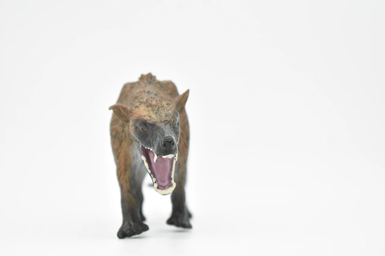 Tasmanian Tiger, Thylacine, Tasmanian wolf, Museum Quality, Hand Painted, Educational, Rubber Animal, Realistic Toy Figure, Diorama Model, Kids,  7 Inches.