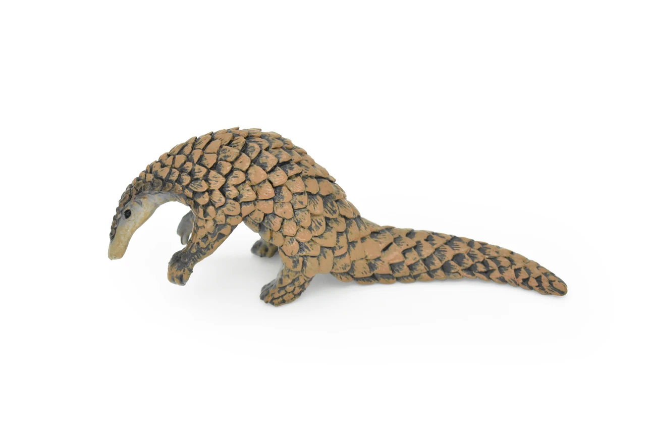 Pangolin, Scaly Anteaters, Museum Quality, Hand Painted, Educational, Rubber Animal, Realistic Toy Figure, Diorama Model, Kids,  7 Inches.