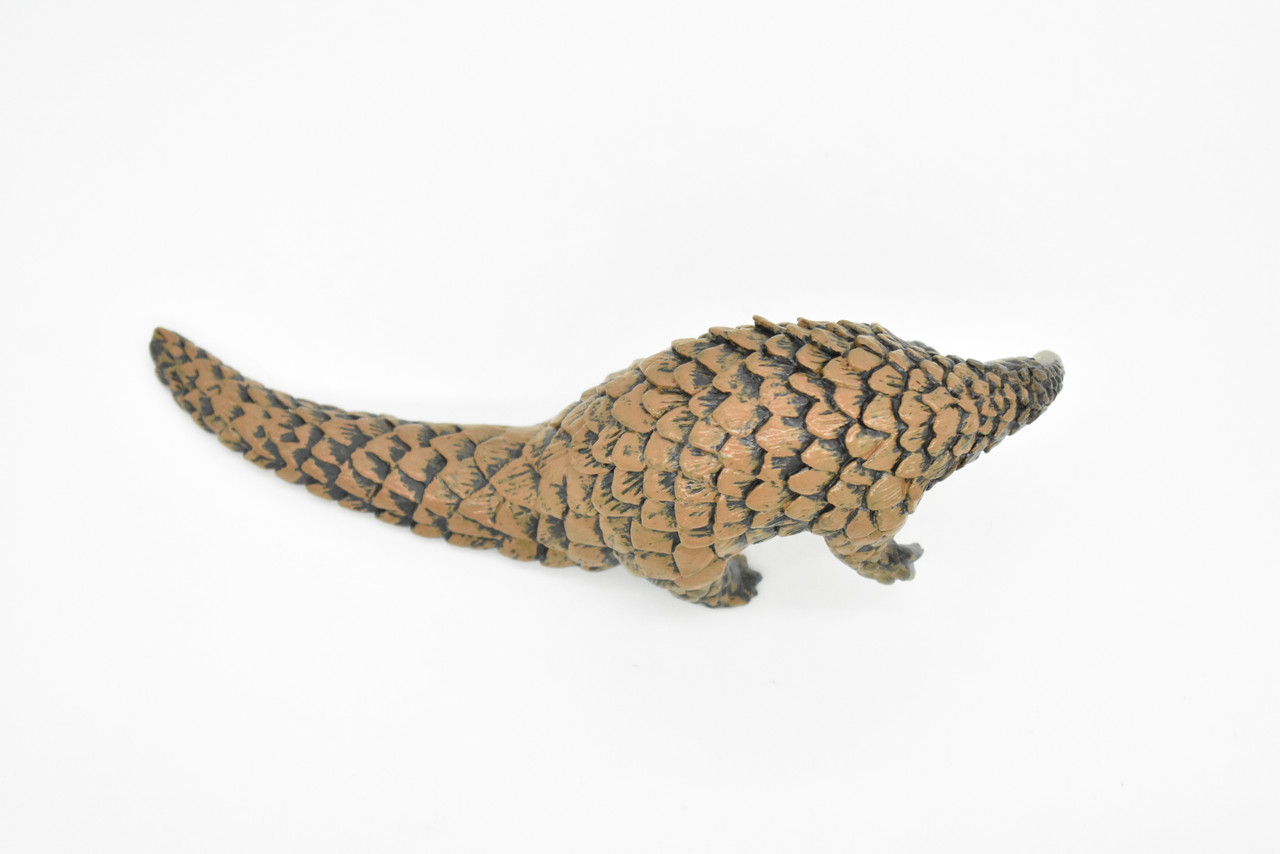 Pangolin, Scaly Anteaters, Museum Quality, Hand Painted, Educational, Rubber Animal, Realistic Toy Figure, Diorama Model, Kids,  7 Inches.