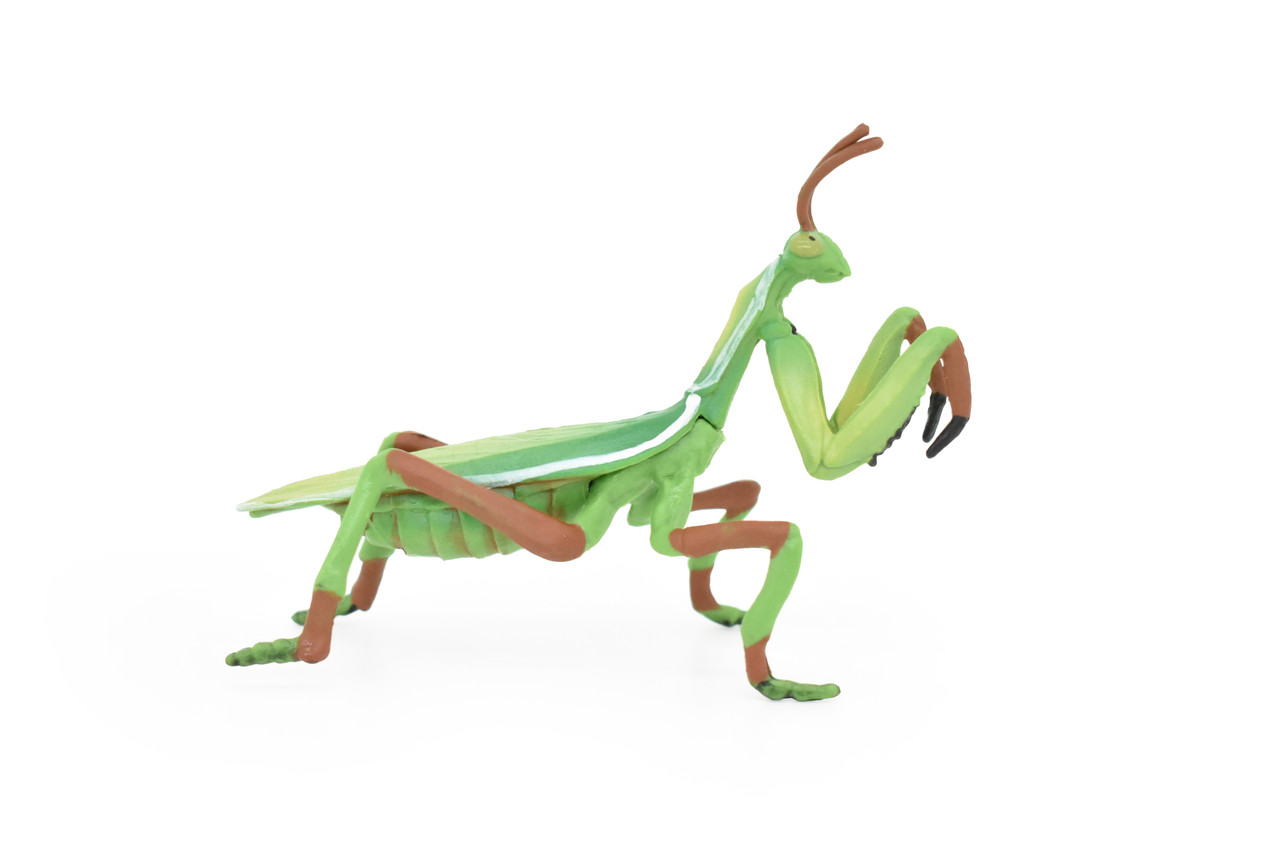 Praying Mantis Toy, Mantises, Mantodea, Insect, Very Realistic Rubber Figure, Model, Educational, Animal, Hand Painted Figurines 4" CH0116 BB94