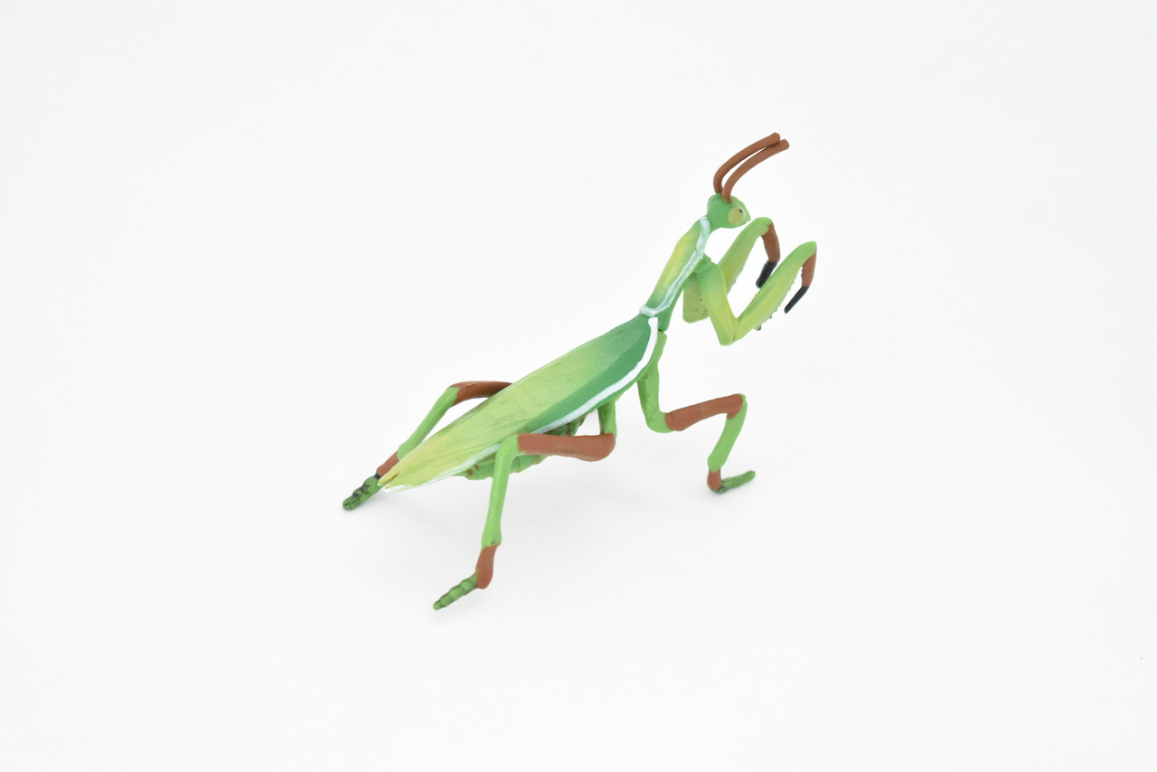 Praying Mantis Toy, Mantises, Mantodea, Insect, Very Realistic Rubber Figure, Model, Educational, Animal, Hand Painted Figurines 4" CH0116 BB94