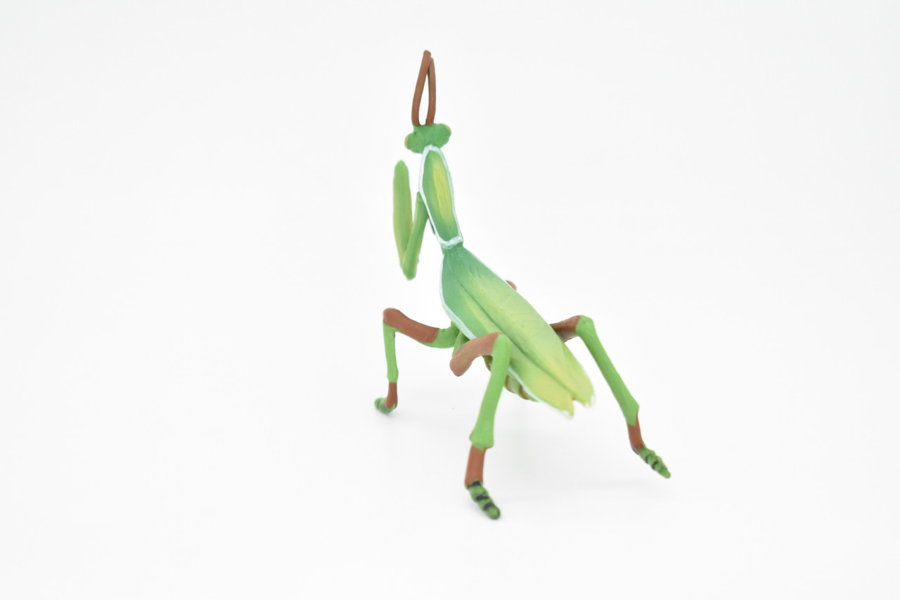 Praying Mantis, Mantises, Mantodea, Museum Quality, Educational, Hand Painted, Rubber Insect, Diorama Model, Realistic, Kids, Toys, 4 Inches. 