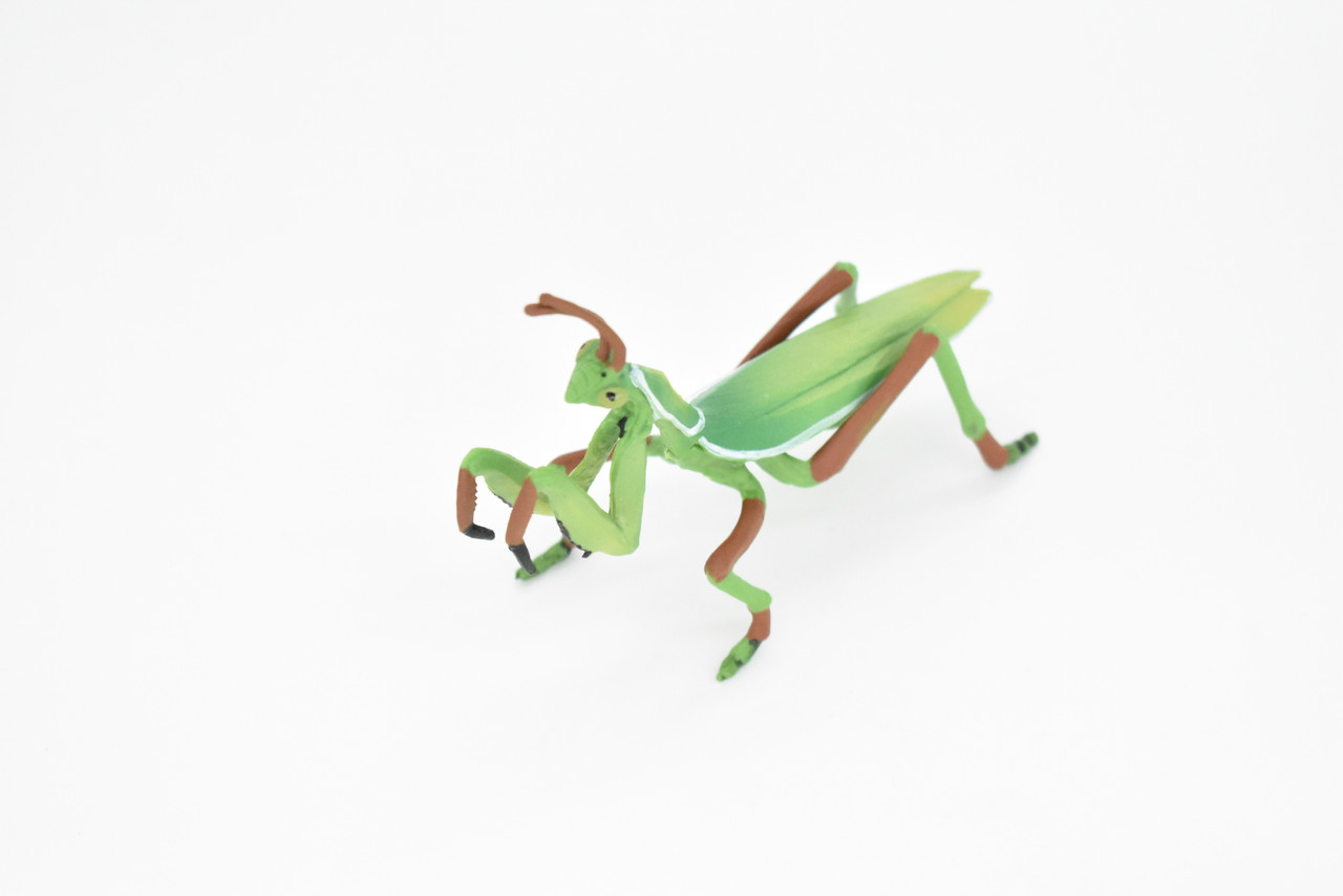 Praying Mantis Toy, Mantises, Mantodea, Insect, Very Realistic Rubber Figure, Model, Educational, Animal, Hand Painted Figurines 4" CH0116 BB94