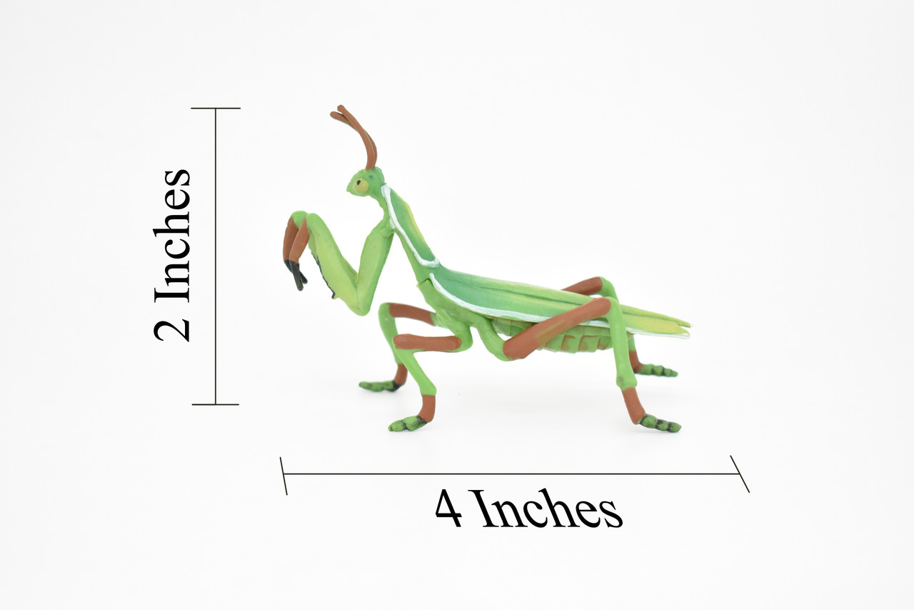 Praying Mantis, Mantises, Mantodea, Museum Quality, Educational, Hand Painted, Rubber Insect, Diorama Model, Realistic, Kids, Toys, 4 Inches. 