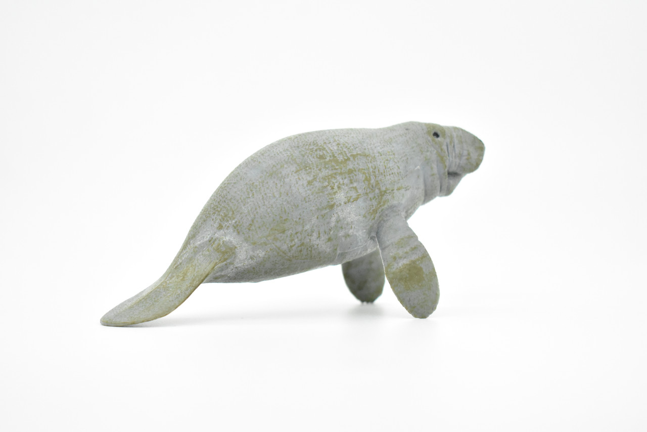 Manatee Toy, Sea Cow, Ocean, Dugongs, Very Realistic Rubber Figure, Model, Educational, Animal, Hand Painted Figurines 6" CH0119 BB95