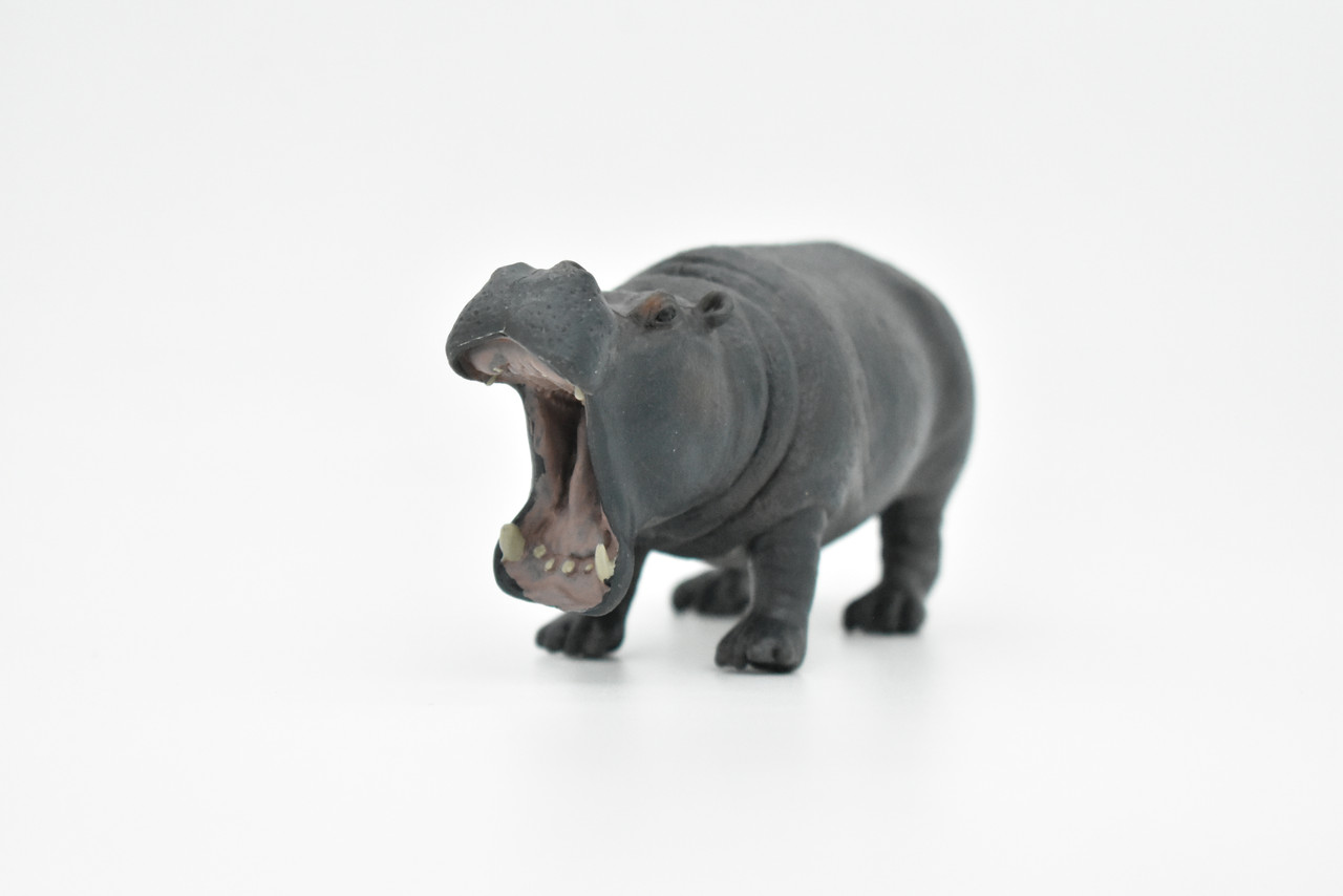 Hippo, Hippopotamus, Museum Quality, Hand Painted, Educational, Rubber Animal, Realistic Toy Figure, Diorama Model, Kids,  5 Inches. 