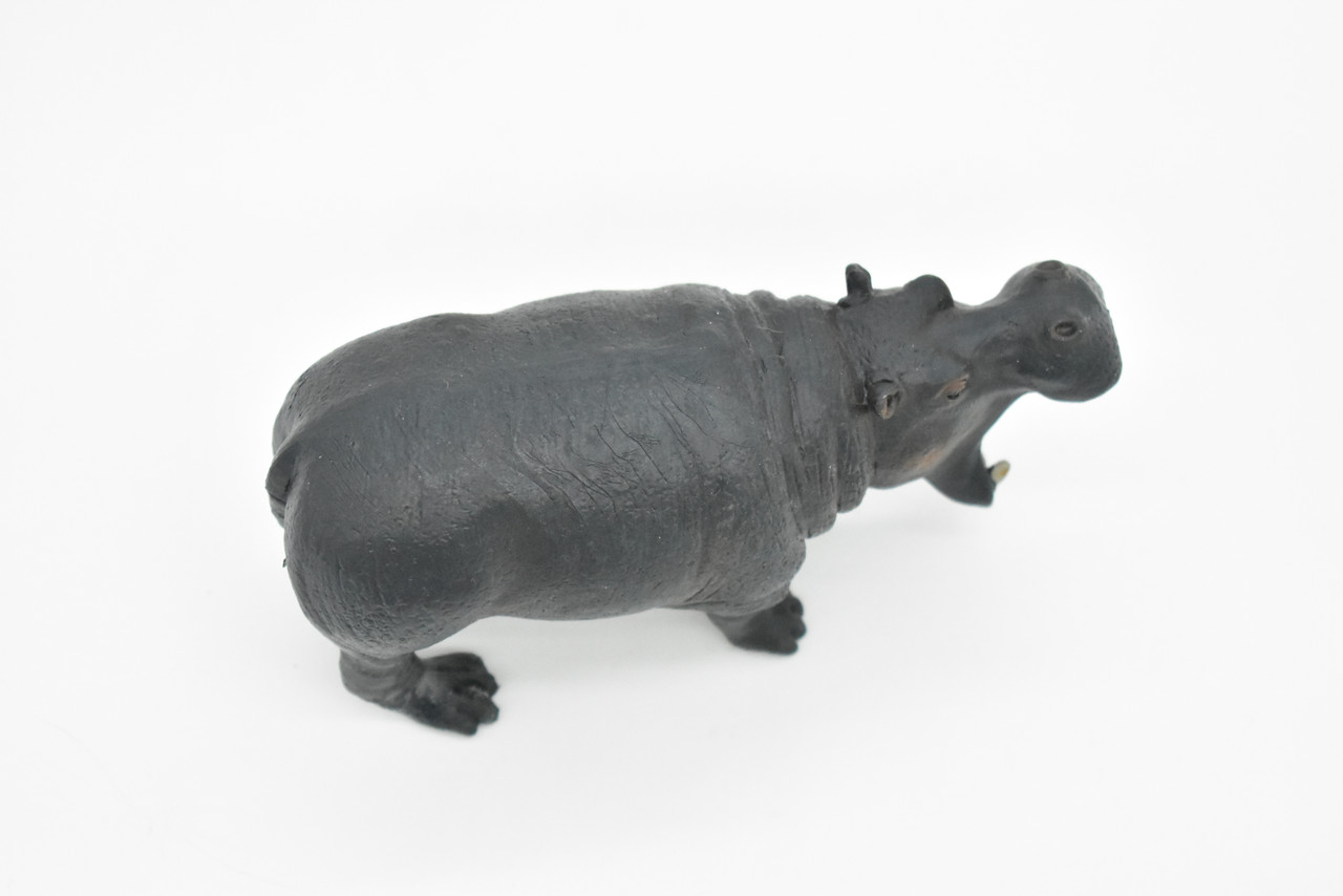 Hippo, Hippopotamus, Museum Quality, Hand Painted, Educational, Rubber Animal, Realistic Toy Figure, Diorama Model, Kids,  5 Inches. 