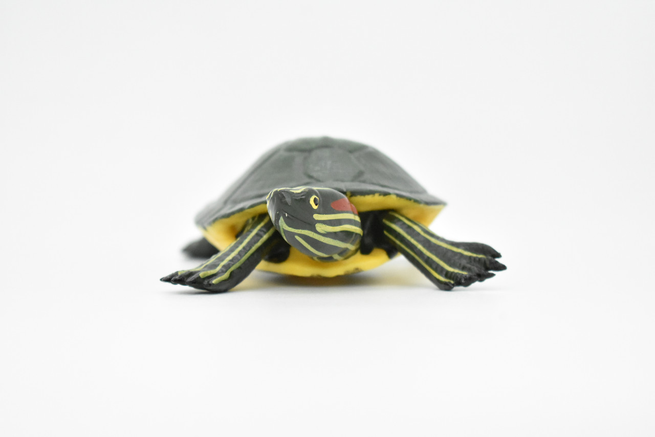 Turtle Toy, Red Eared Slider, Museum Quality Rubber Figure, Model, Educational, Animal, Hand Painted, Figurines       5"     CH122 BB97