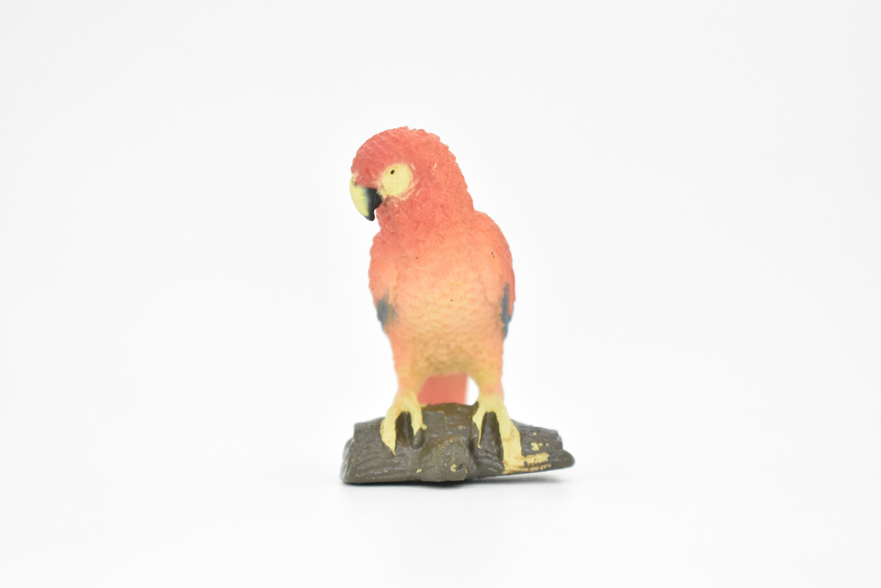 Parrot, Rose, Bird, Very Realistic Rubber Reproduction, Hand Painted Figurines     5.5"    CH138 B244