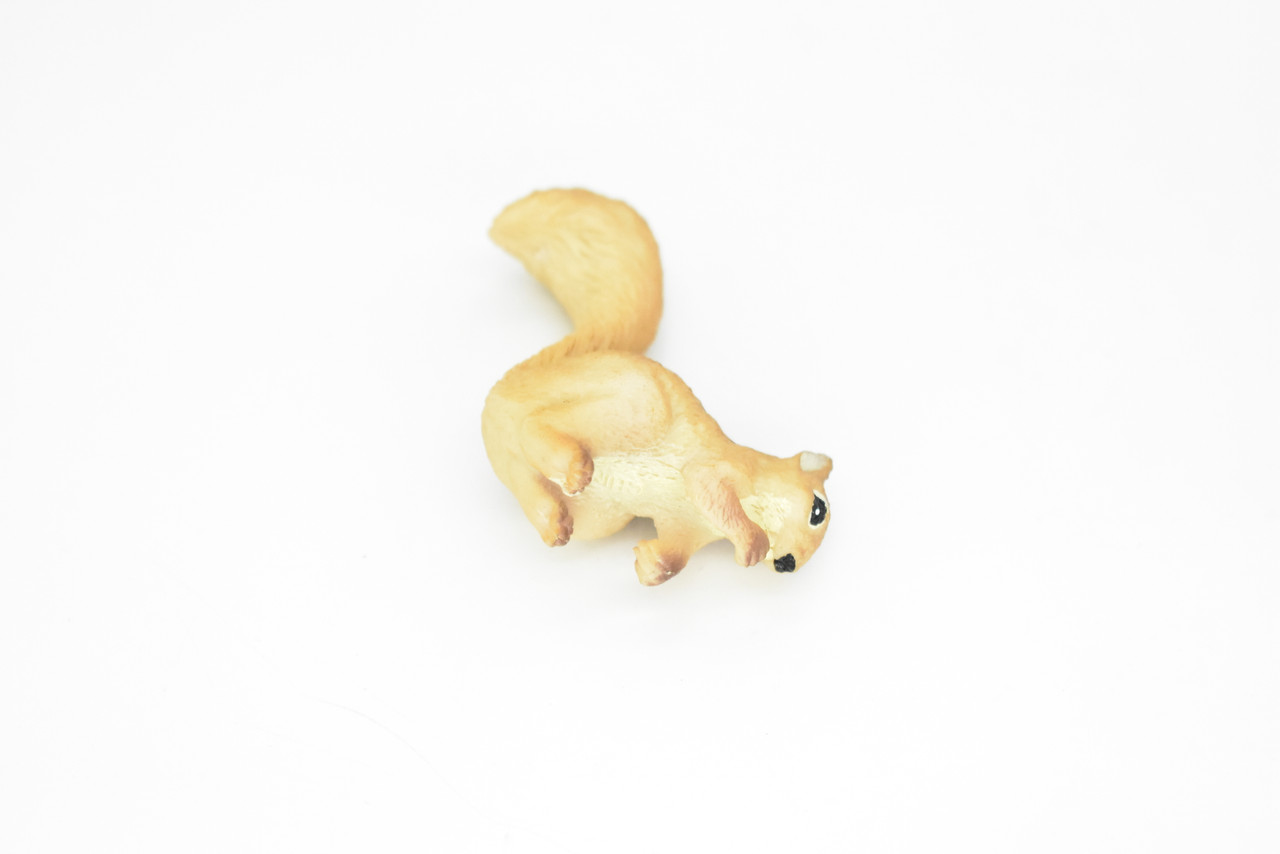 Squirrel, Tree, Ground, Very Realistic Rubber Reproduction, Hand Painted Figurines     2.5"      CH139 B244