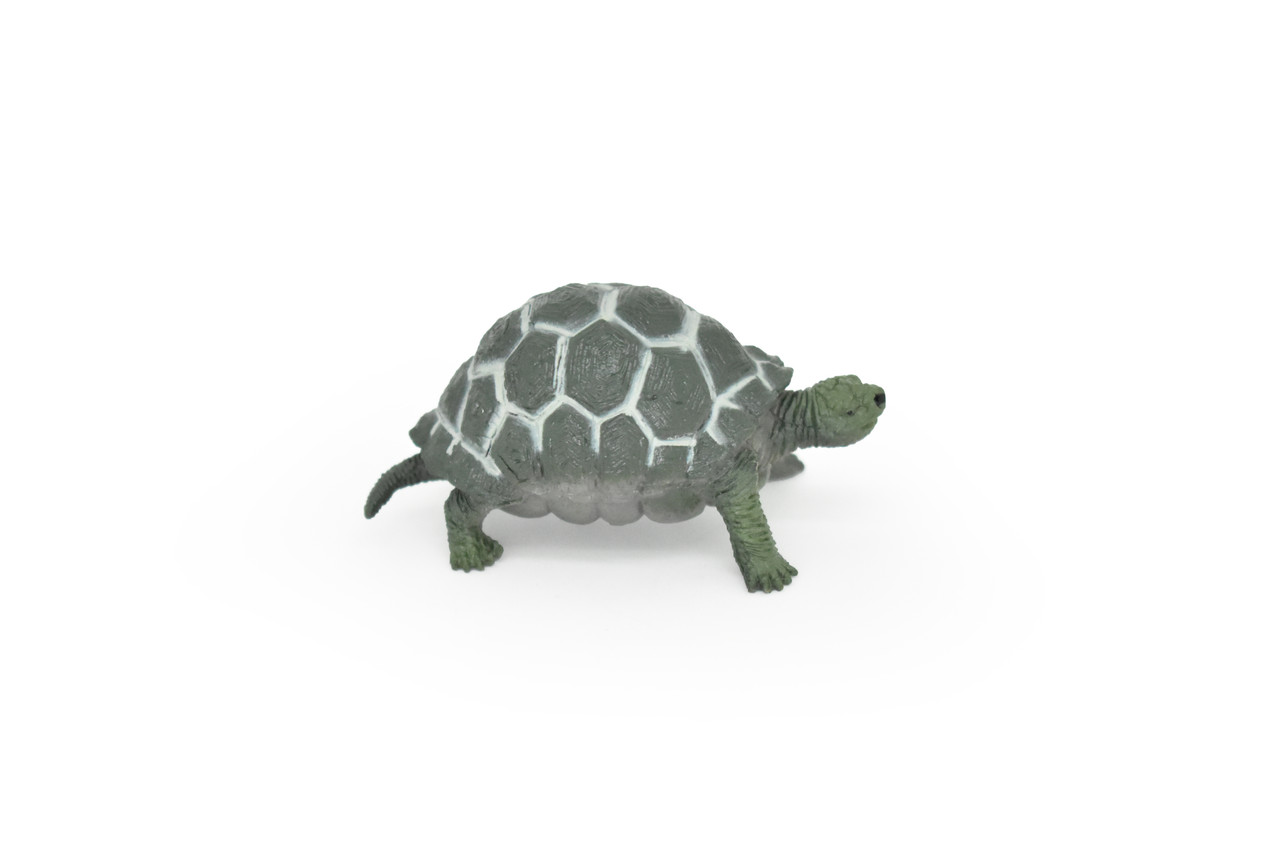 Tortoise, Testudinidae, Reptiles, Realistic Rubber Reproduction, Hand Painted Figurines       2.5"      CH145 B246