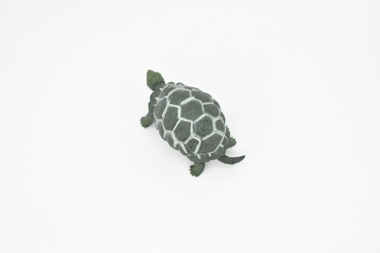 Tortoise, Testudinidae, Reptiles, Realistic Rubber Reproduction, Hand Painted Figurines       2.5"      CH145 B246