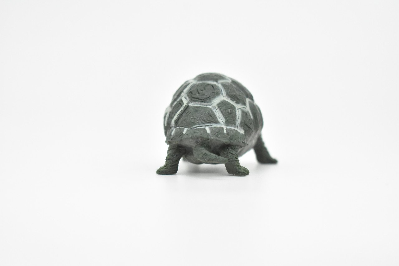 Tortoise, Testudinidae, Reptiles, Realistic Rubber Reproduction, Hand Painted Figurines       2.5"      CH145 B246